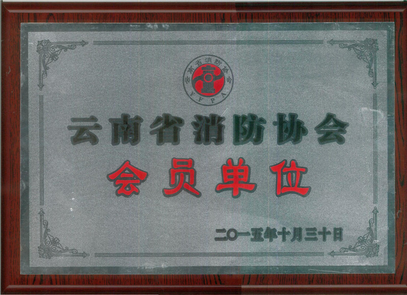 崇正華盛為云南省消防協(xié)會會員單位
