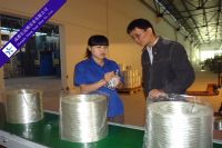 glassfiber